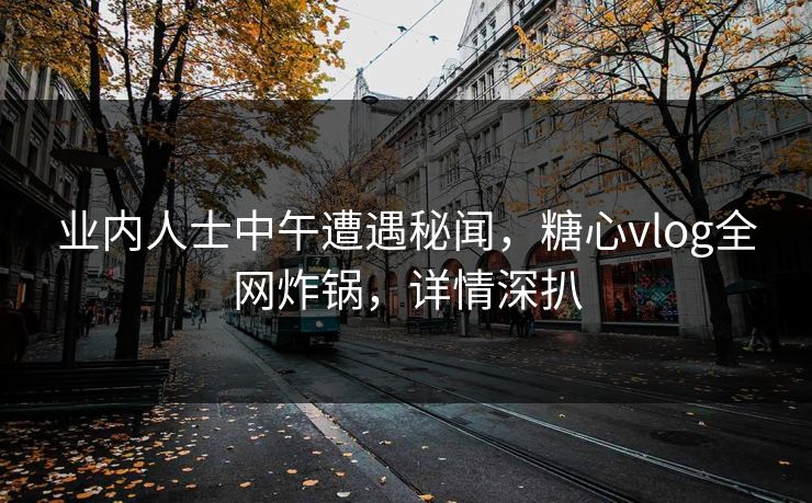 业内人士中午遭遇秘闻，糖心vlog全网炸锅，详情深扒