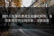 圈内人在深夜遭遇丑闻爆红网络，番茄影视官网全网炸锅，详情围观