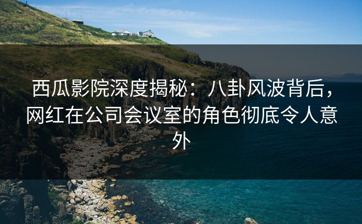 西瓜影院深度揭秘：八卦风波背后，网红在公司会议室的角色彻底令人意外