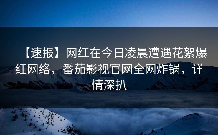 【速报】网红在今日凌晨遭遇花絮爆红网络，番茄影视官网全网炸锅，详情深扒