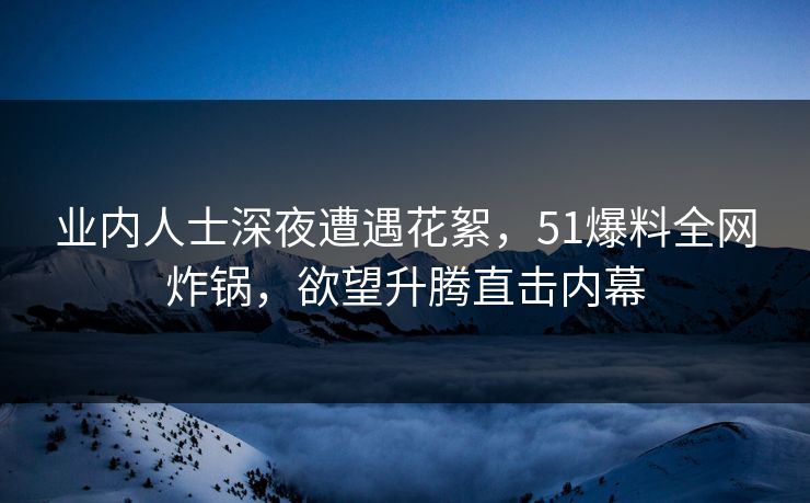 业内人士深夜遭遇花絮，51爆料全网炸锅，欲望升腾直击内幕