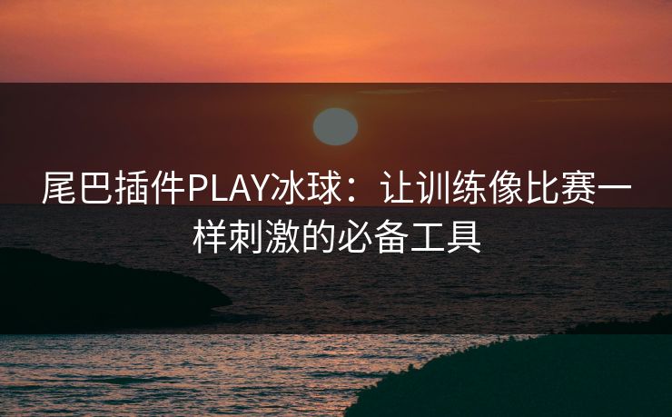 尾巴插件PLAY冰球：让训练像比赛一样刺激的必备工具