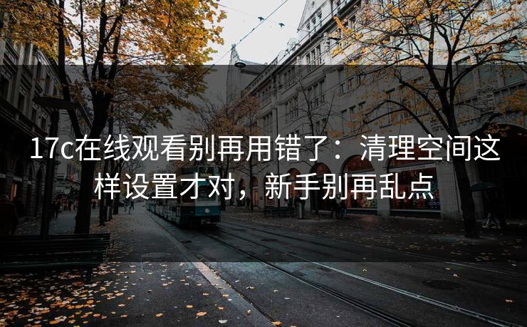 17c在线观看别再用错了：清理空间这样设置才对，新手别再乱点